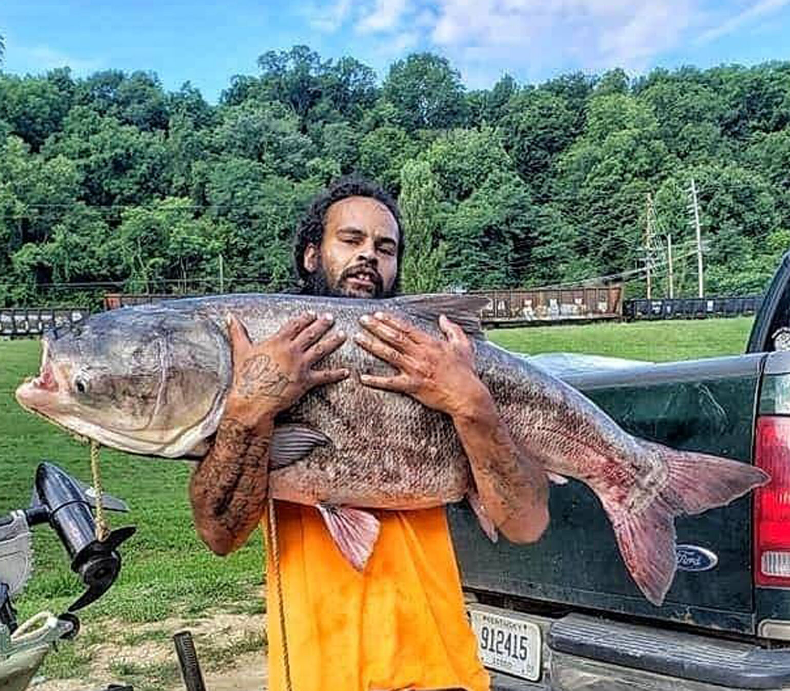 Big Head Carp
